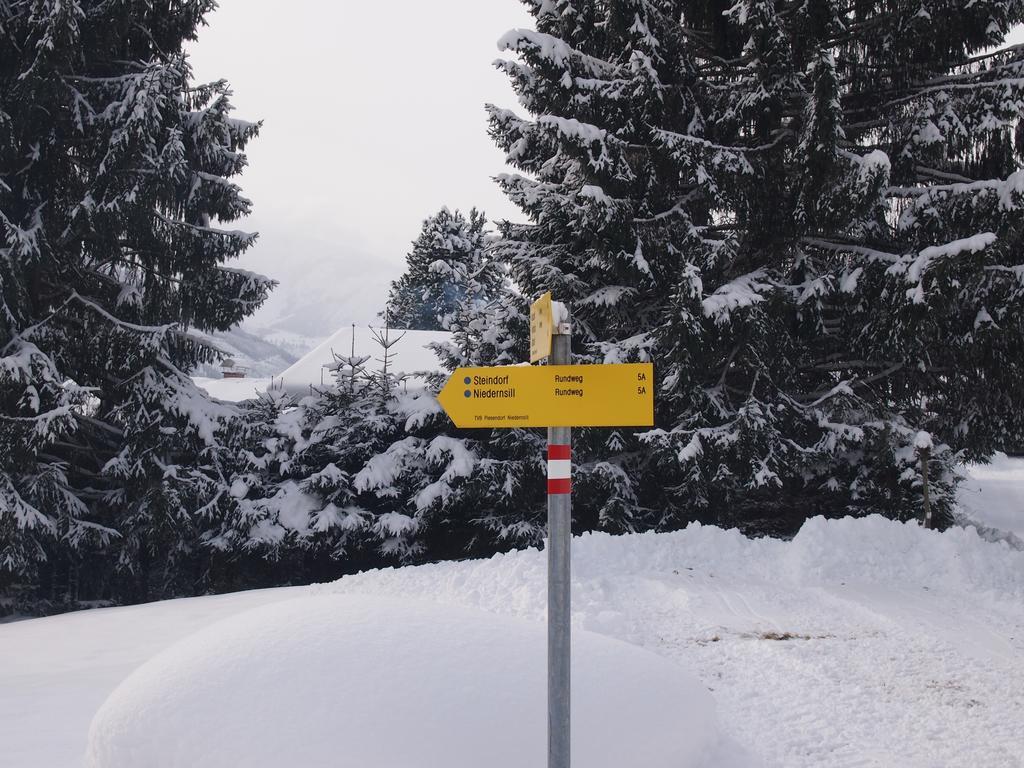 Chalet Sonnberg Нидернзилль Экстерьер фото